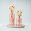 Set de 2 vases en verre - blush