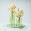 Set de 2 vases en verre - vert soie