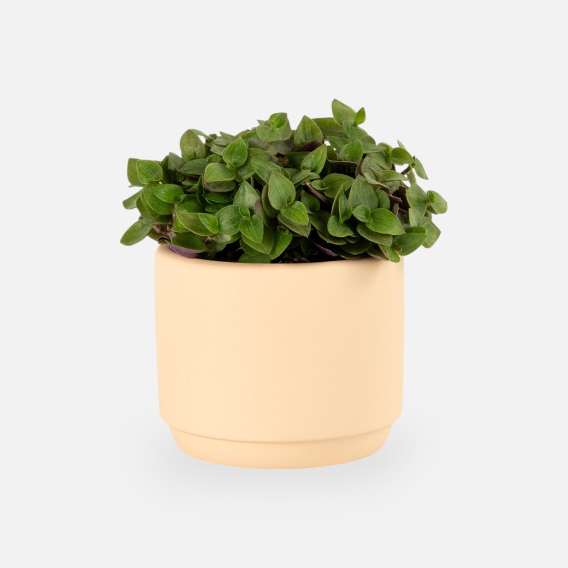 Bloempotje keramiek blush