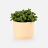 Bloempotje keramiek blush