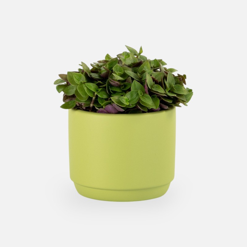 Petit pot de fleurs bleu vert soie