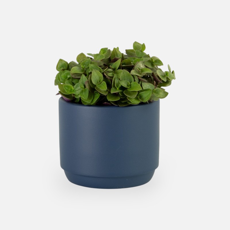 Bloempotje marineblauw
