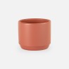 Petit pot de fleurs terracotta