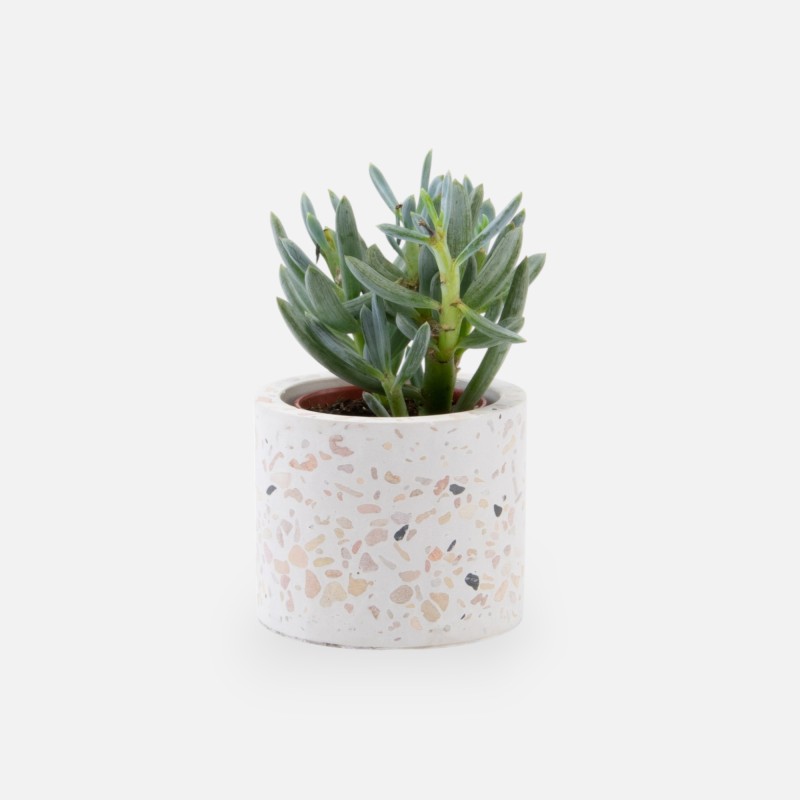 Terrazzo petit pot de fleurs - blanc