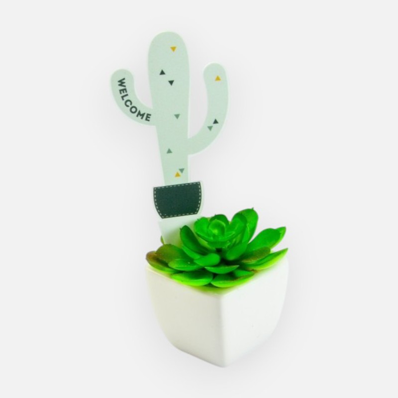 plantenbordje cactus